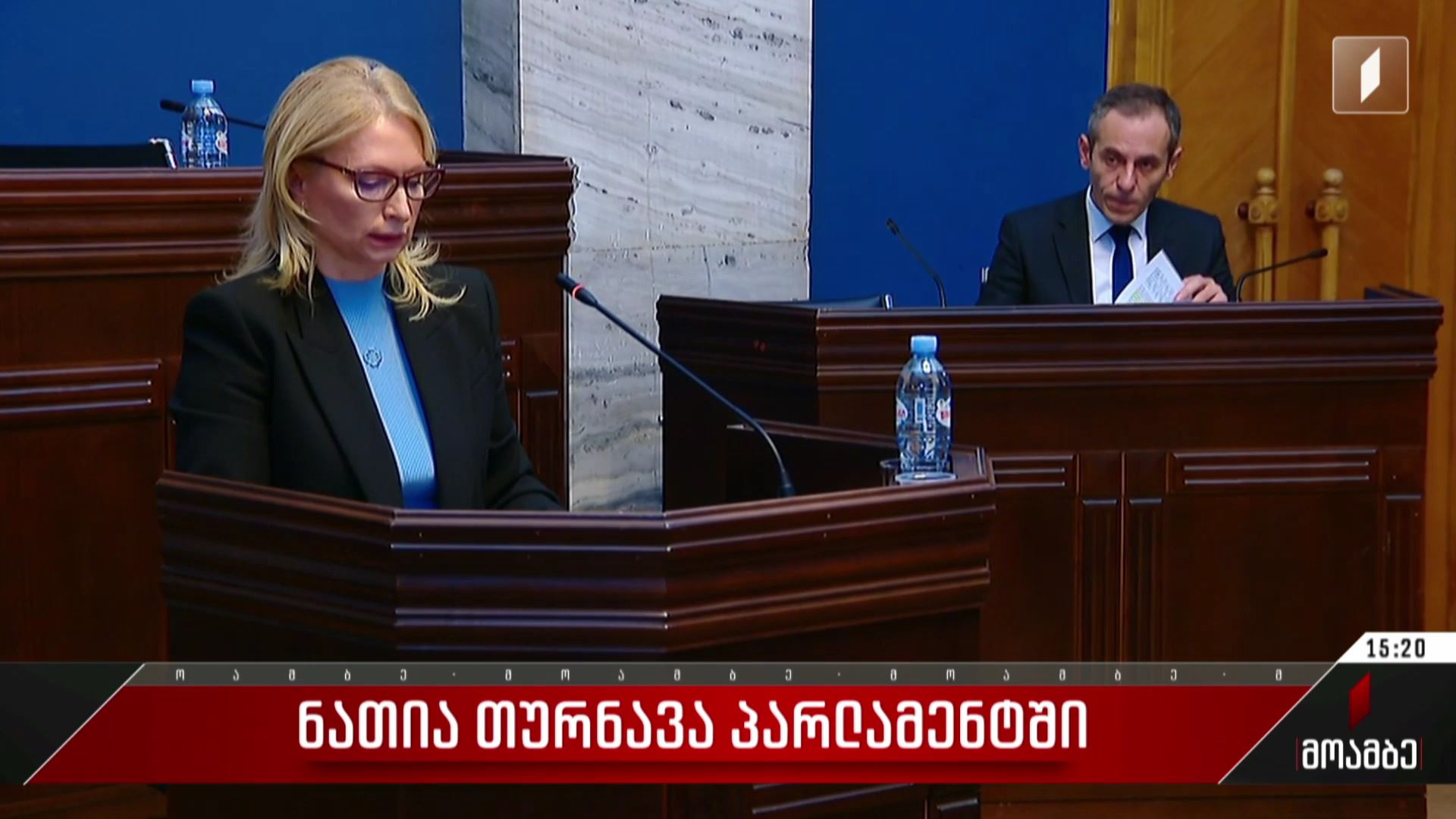 ნათია თურნავა პარლამენტში