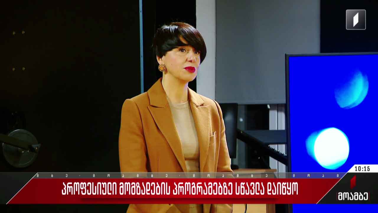 პროფესიული მომზადების პროგრამებზე სწავლა დაიწყო