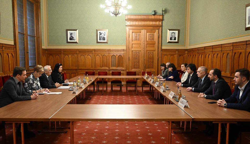 ირაკლი კობახიძე უნგრეთის ეროვნული ასამბლეის ვიცე-სპიკერს შეხვდა