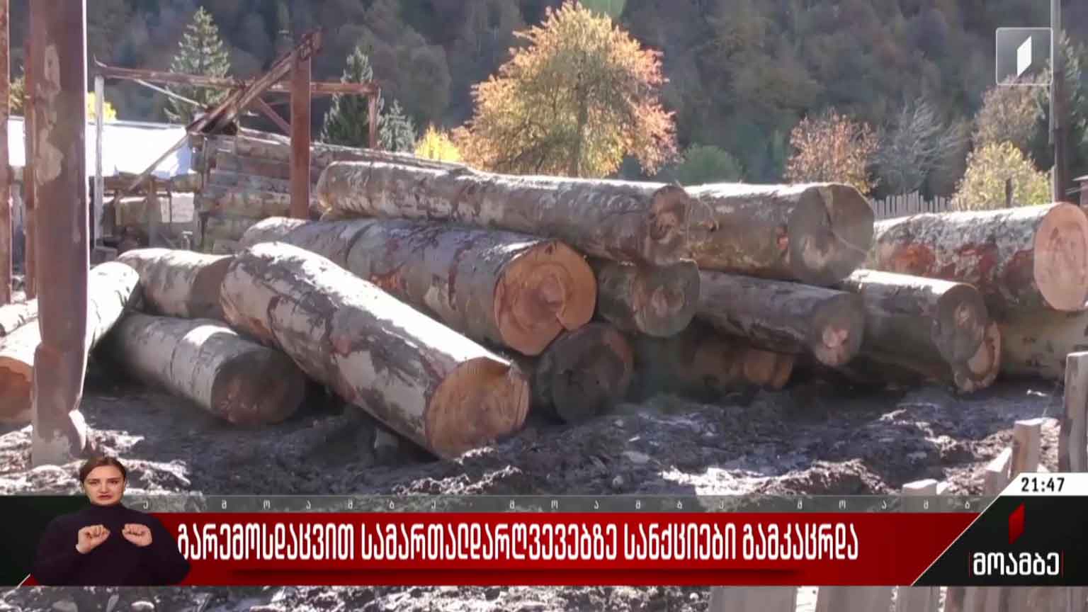 გარემოსდაცვით სამართალდარღვევებზე სანქციები გამკაცრდა