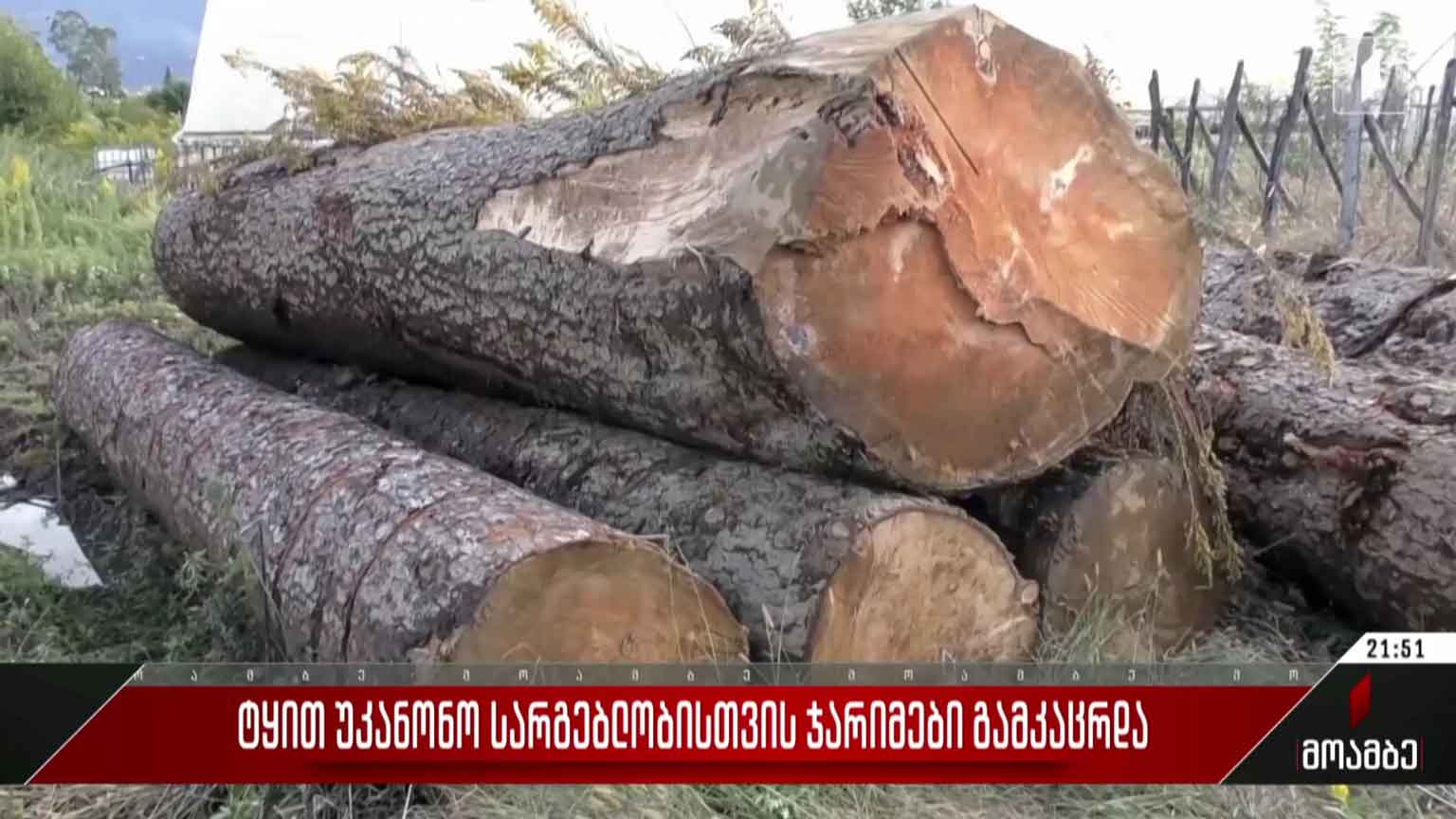 ტყით უკანონო სარგებლობისთვის ჯარიმები გამკაცრდა