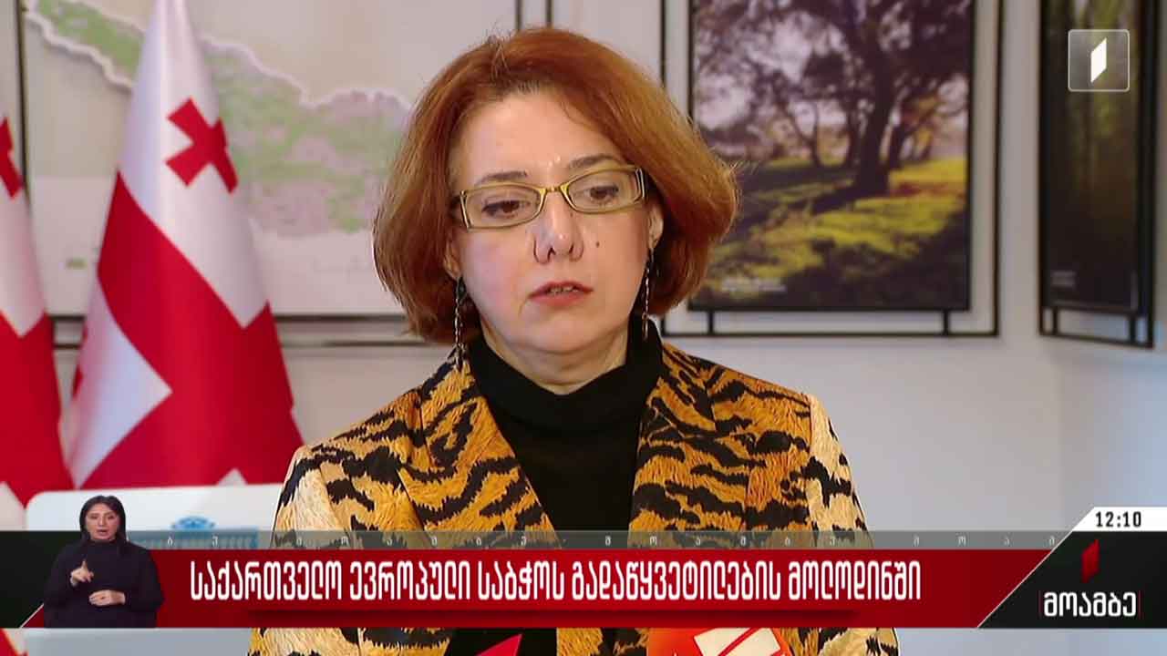 ევროპული საბჭოს გადაწყვეტილების მოლოდინი - შეფასებები თბილისში