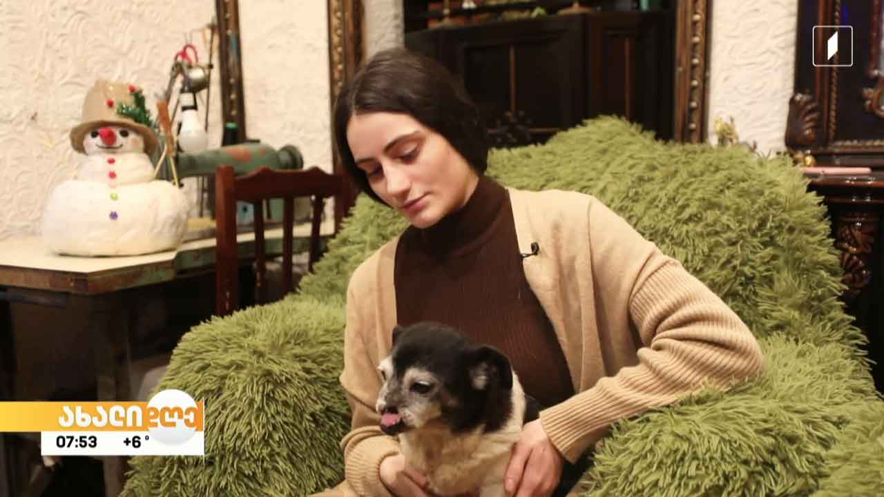 ცხოველთა გადარჩენის სახალხო ფრონტის დიდი ძალისხმევით გადარჩენილი ხრუპისა და ჩარლის ისტორია რუბრიკაში „აკის პარკი“