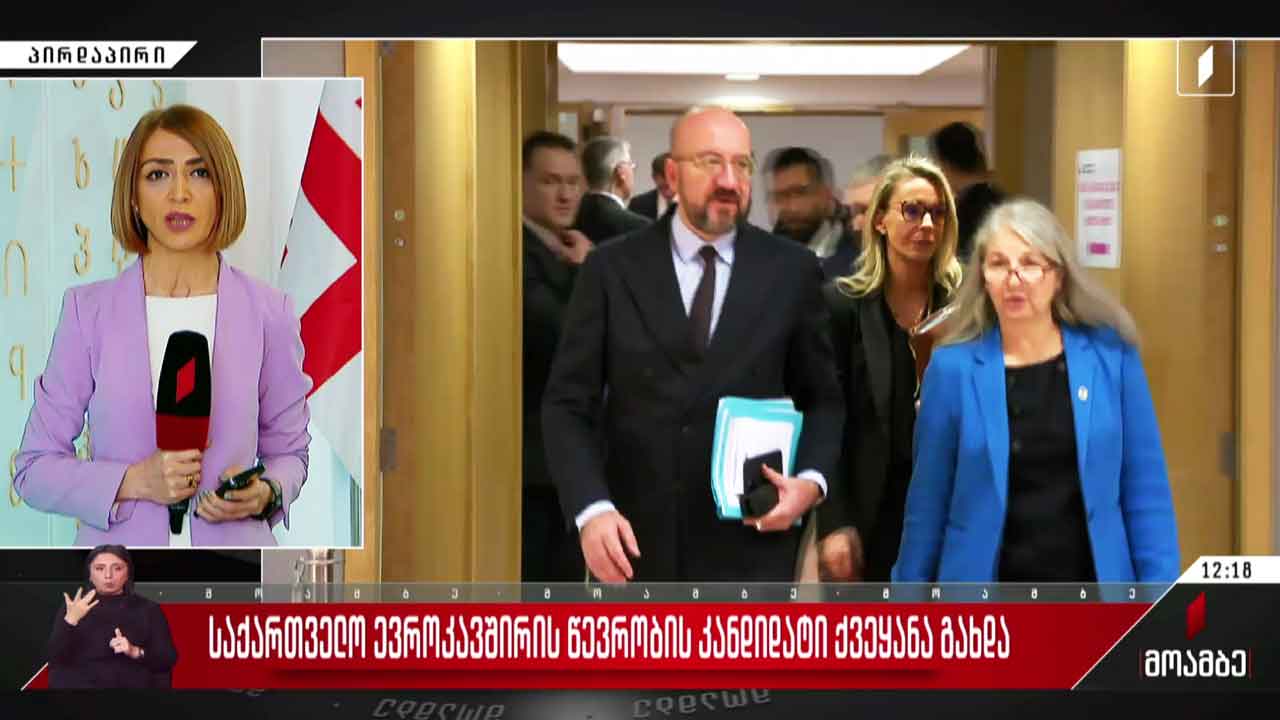 ევროპული საბჭოს გადაწყვეტილება - გამოხმაურება თბილისში