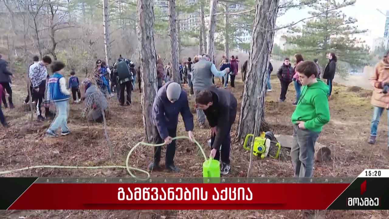 გამწვანების აქცია