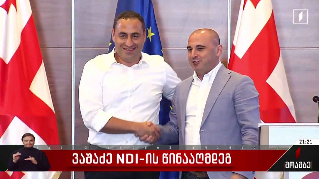 ვაშაძე NDI-ს წინააღმდეგ