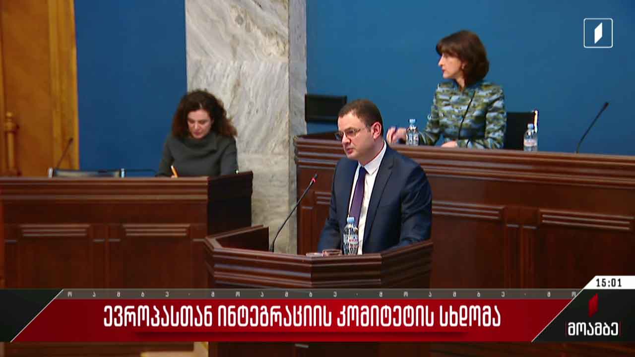 ევროპასთან ინტეგრაციის კომიტეტის სხდომა