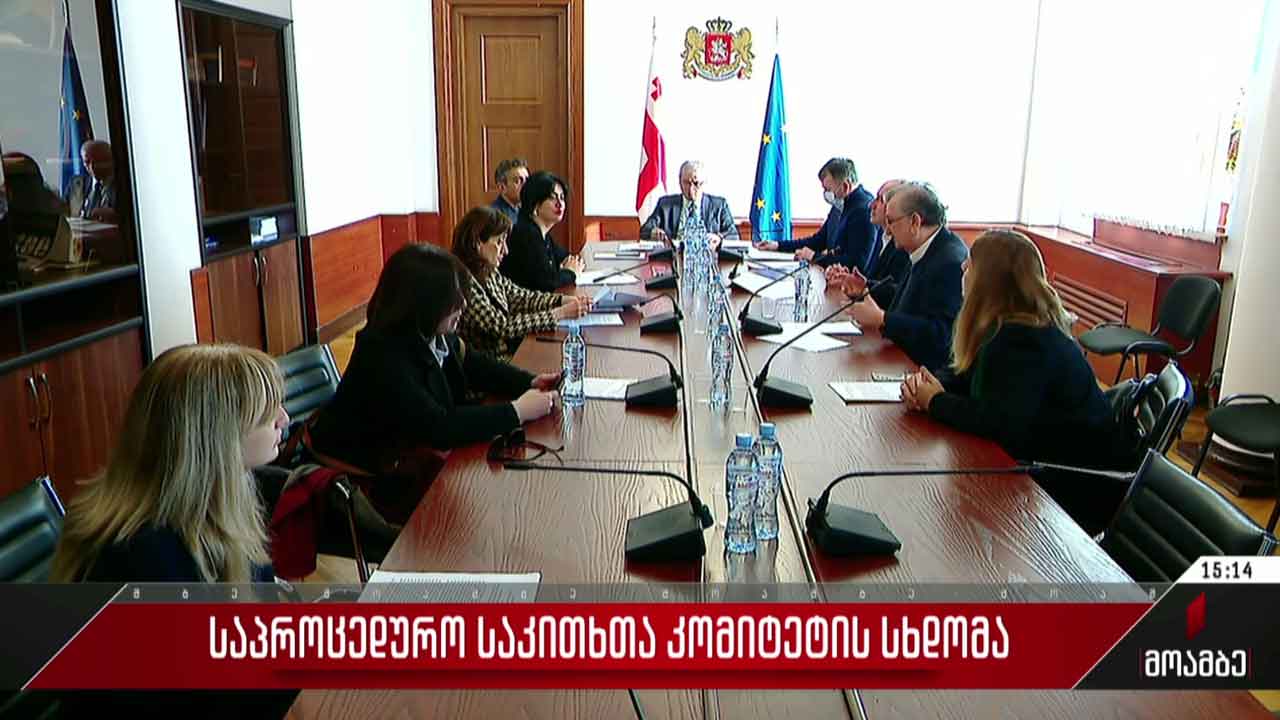 საპროცედურო საკითხთა კომიტეტის სხდომა