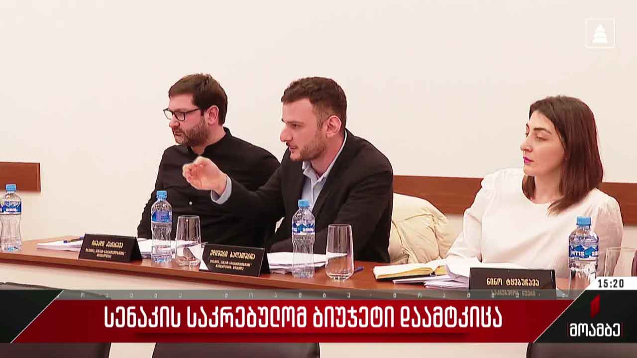 სენაკის საკრებულომ ბიუჯეტი დაამტკიცა