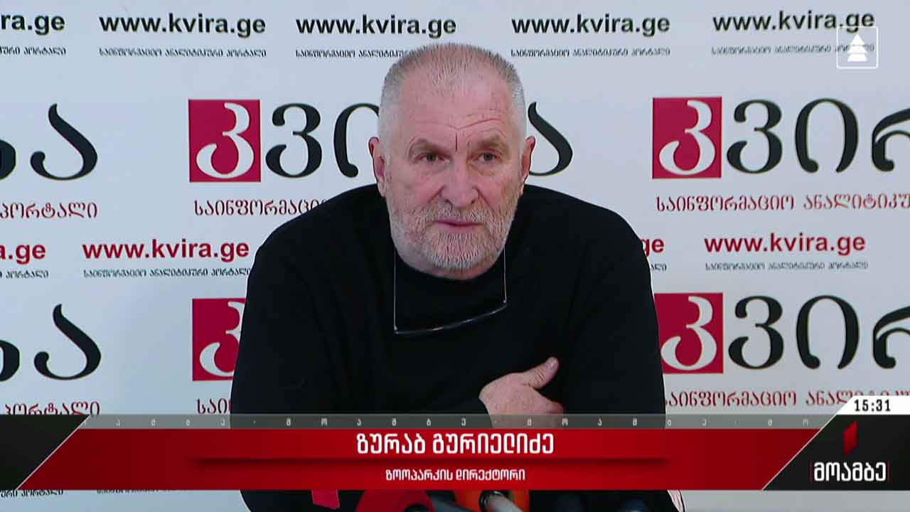 ზოოპარკის დირექტორის განცხადება