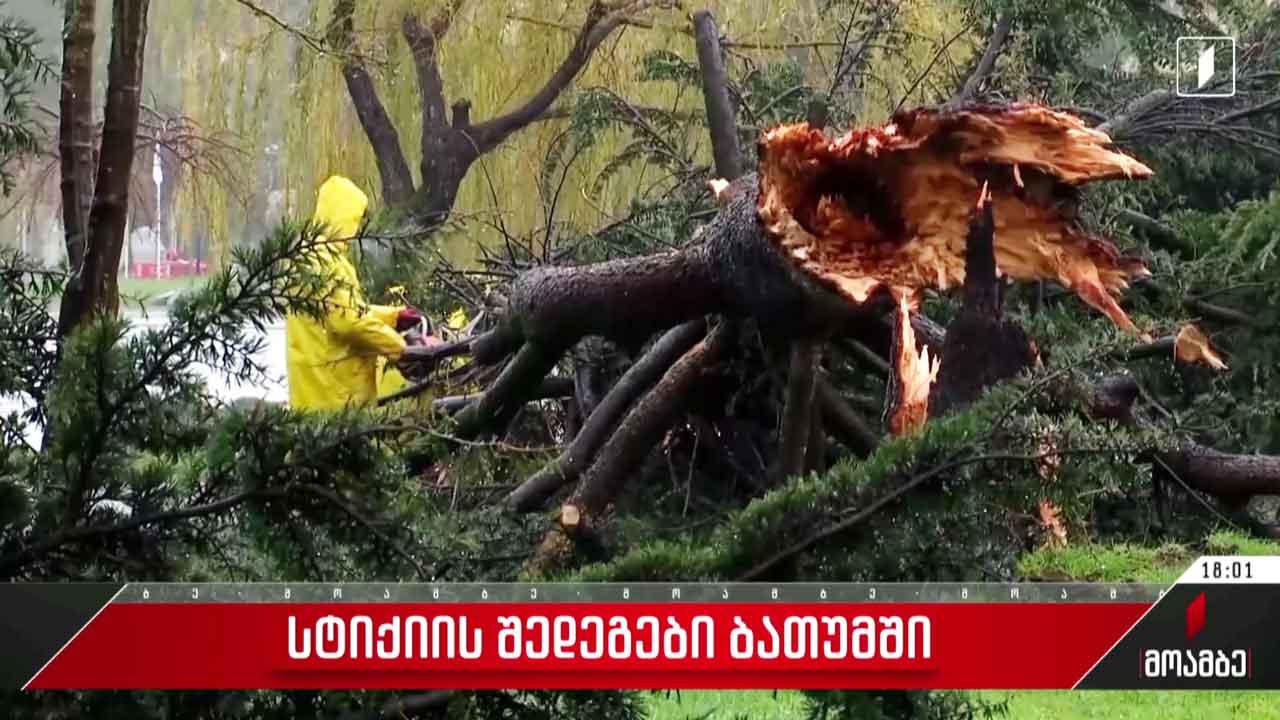 სტიქიის შედეგები ბათუმში