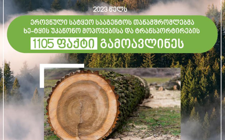 ეროვნული სატყეო სააგენტოს თანამშრომლებმა 2023 წელს ხე-ტყის უკანონო მოპოვებისა და ტრანსპორტირების 1 105 ფაქტი გამოავლინეს