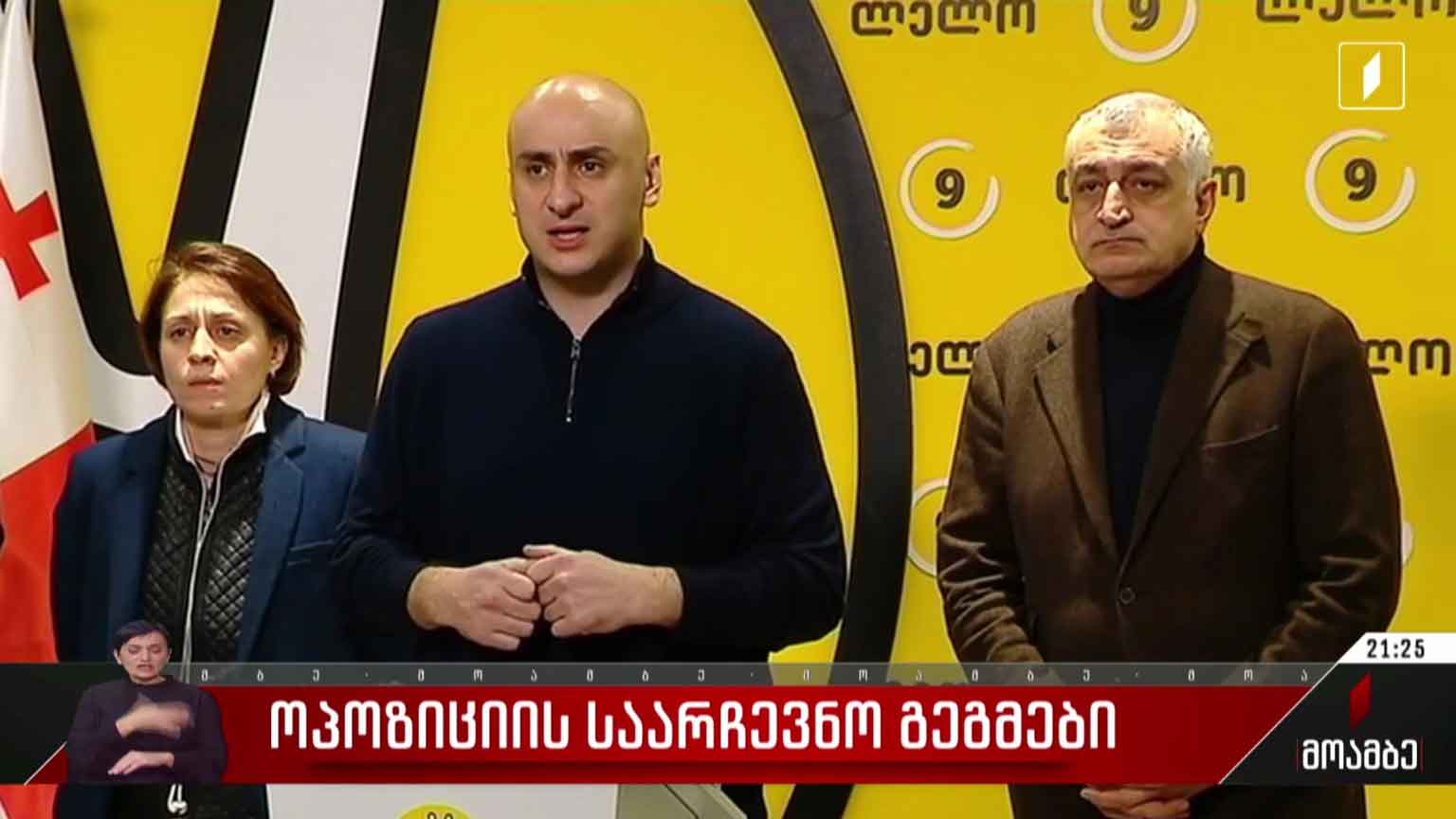 ოპოზიციის საარჩევნო გეგმები