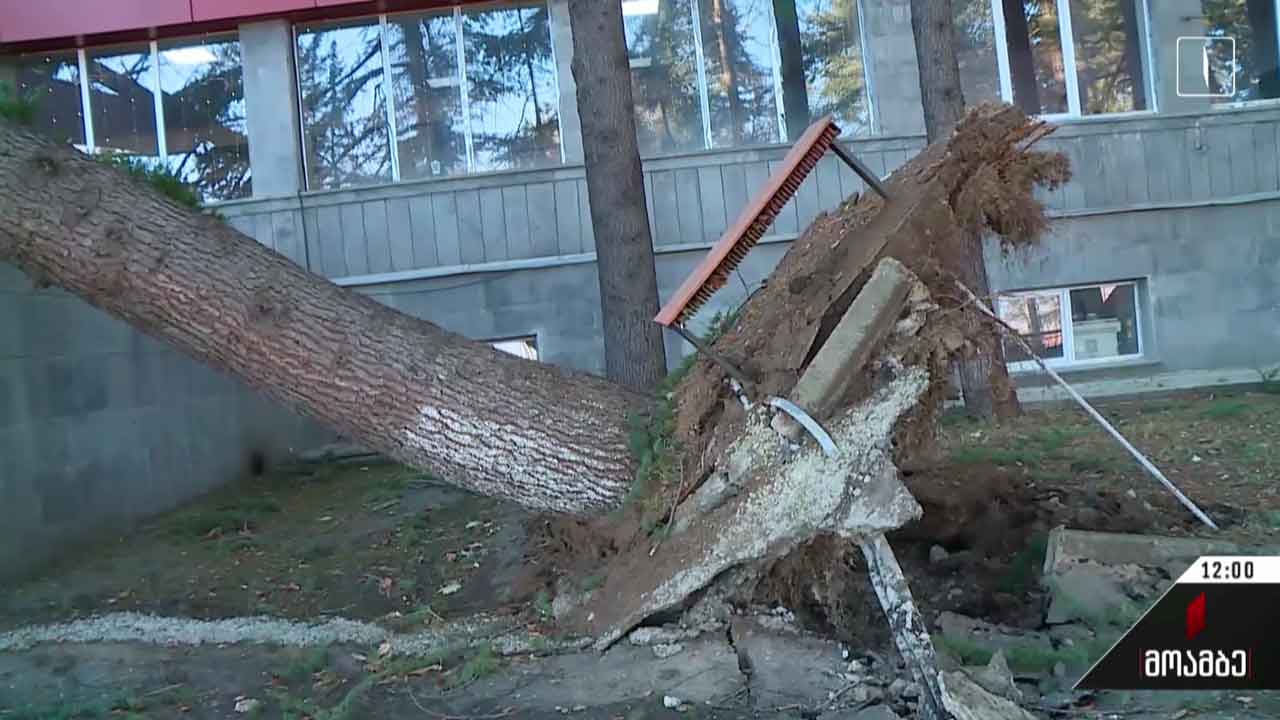 სტიქიის შედეგები კახეთში