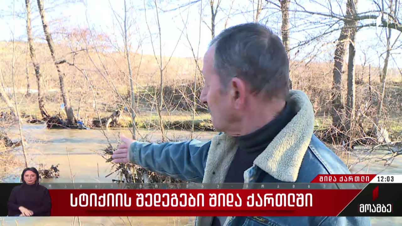სტიქიის შედეგები შიდა ქართლში