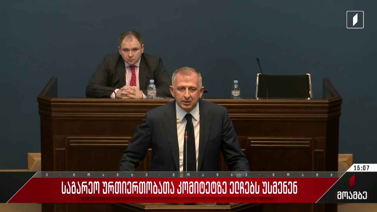 საგარეო ურთიერთობათა კომიტეტზე ელჩებს უსმენენ