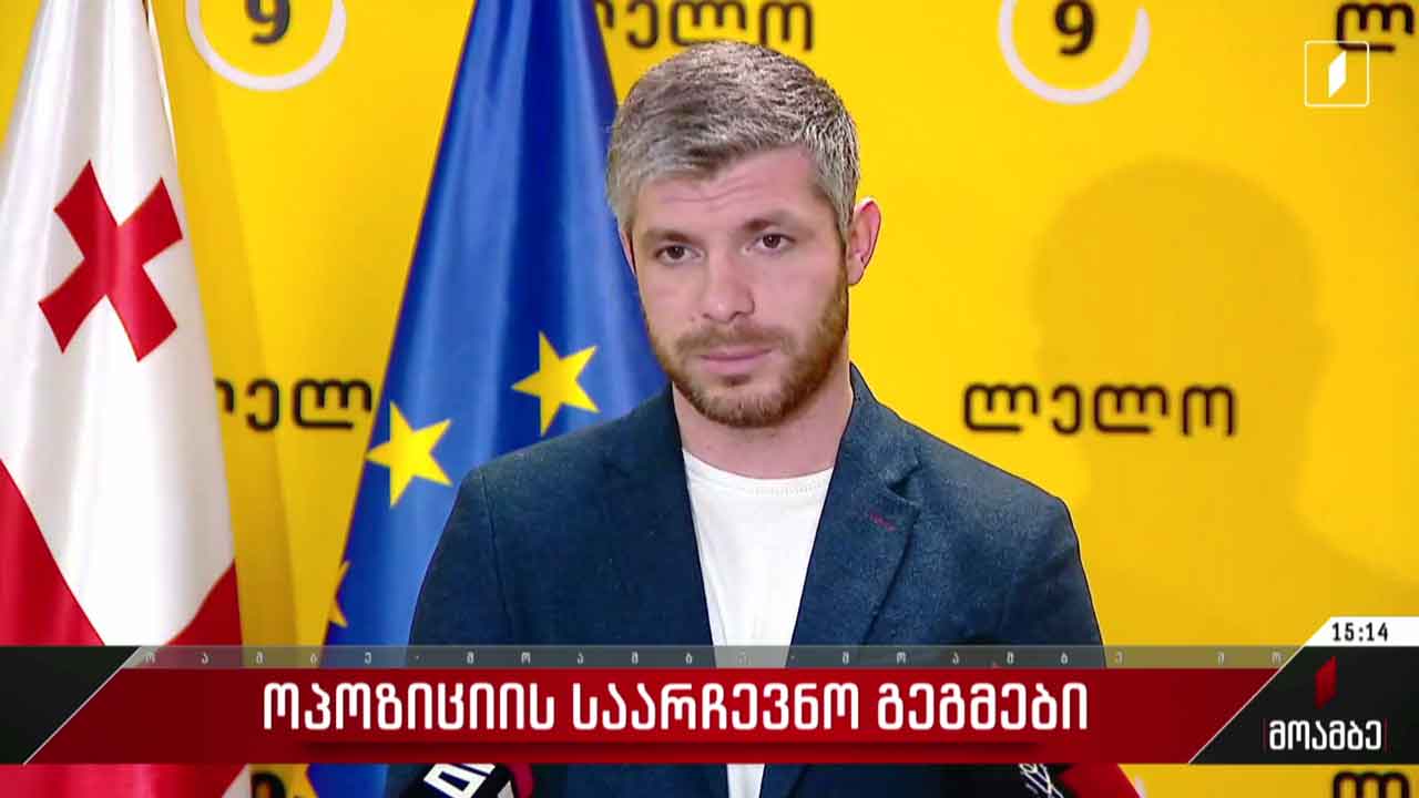 ოპოზიციის საარჩევნო გეგმები