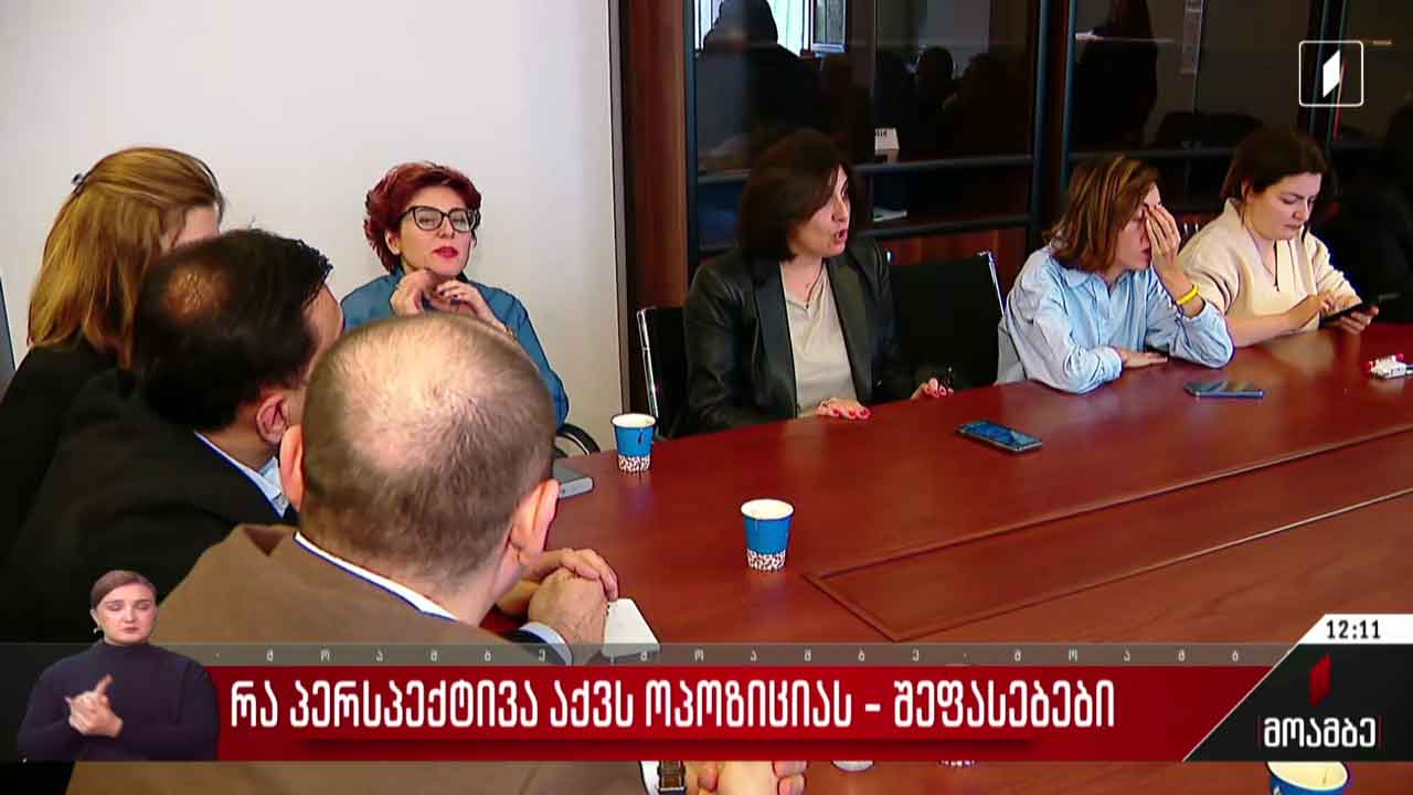 რა პერსპექტივა აქვს ოპოზიციას - შეფასებები