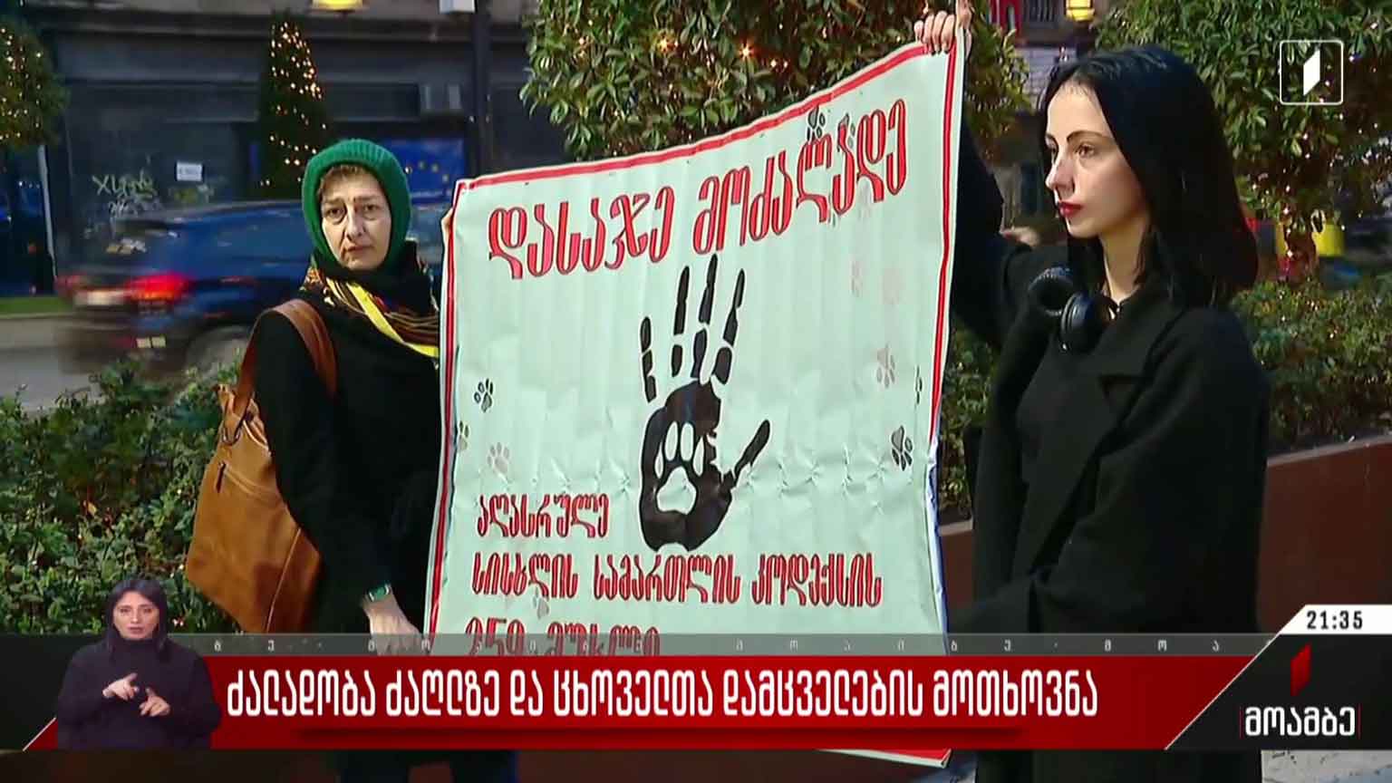 ძალადობა ძაღლზე და ცხოველთა დამცველების მოთხოვნა