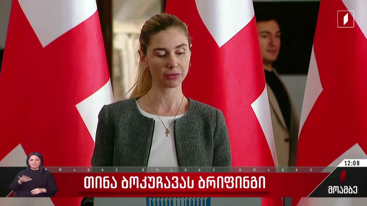 თინა ბოკუჩავას ბრიფინგი - გამოხმაურება