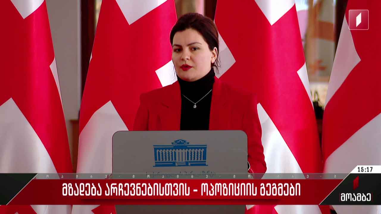 მზადება არჩევნებისთვის - ოპოზიციის გეგმები