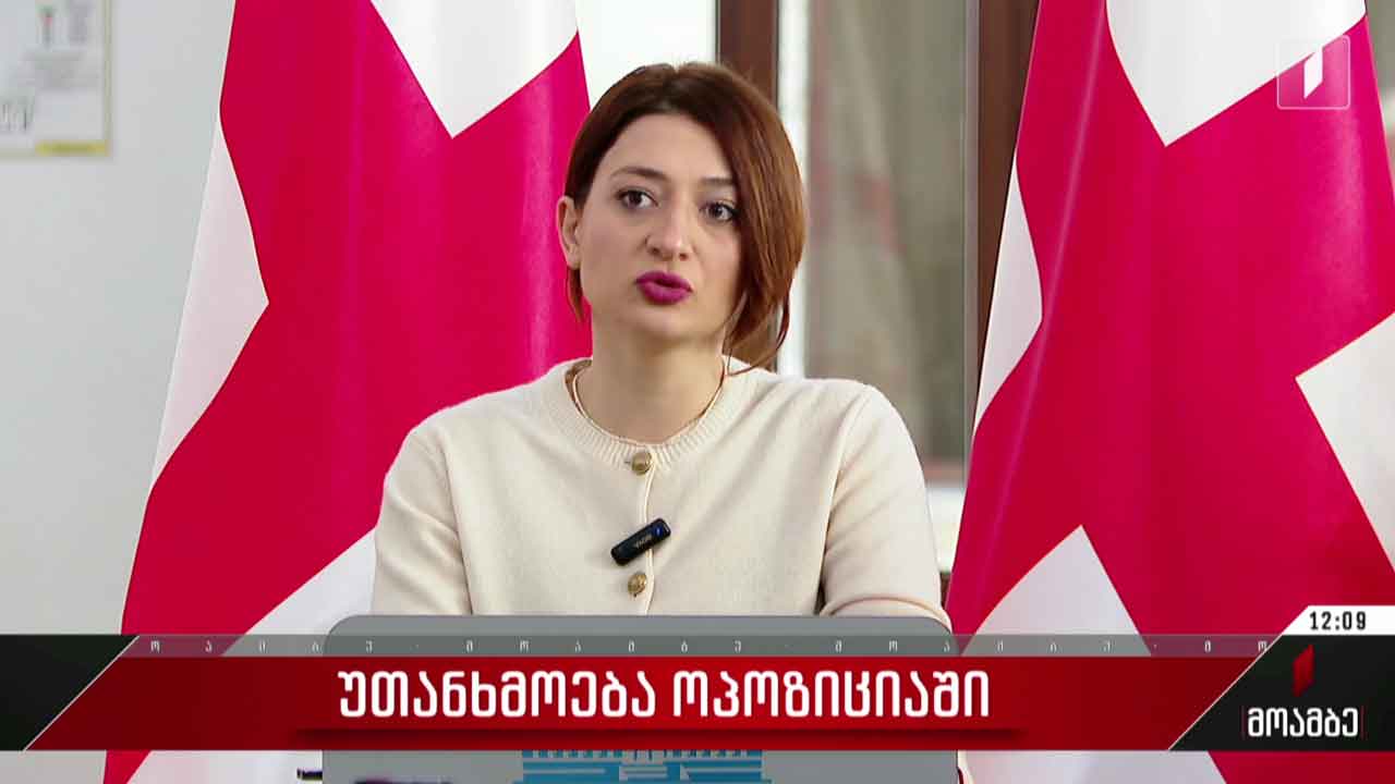 უთანხმოება ოპოზიციაში