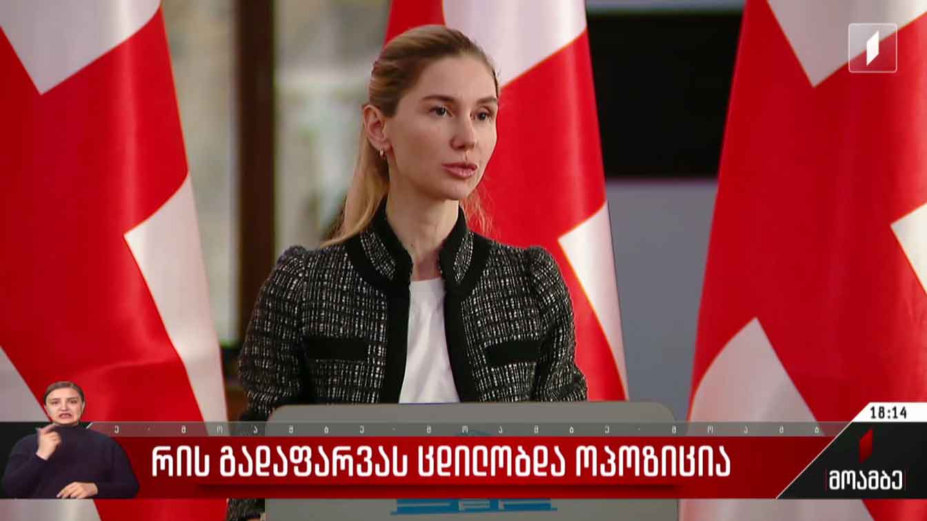 რის გადაფარვას ცდილობდა ოპოზიცია
