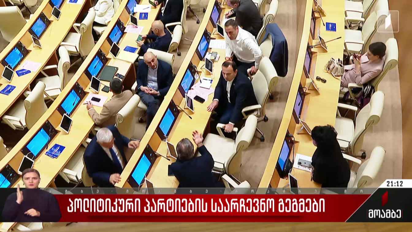 პოლიტიკური პარტიების საარჩევნო გეგმები