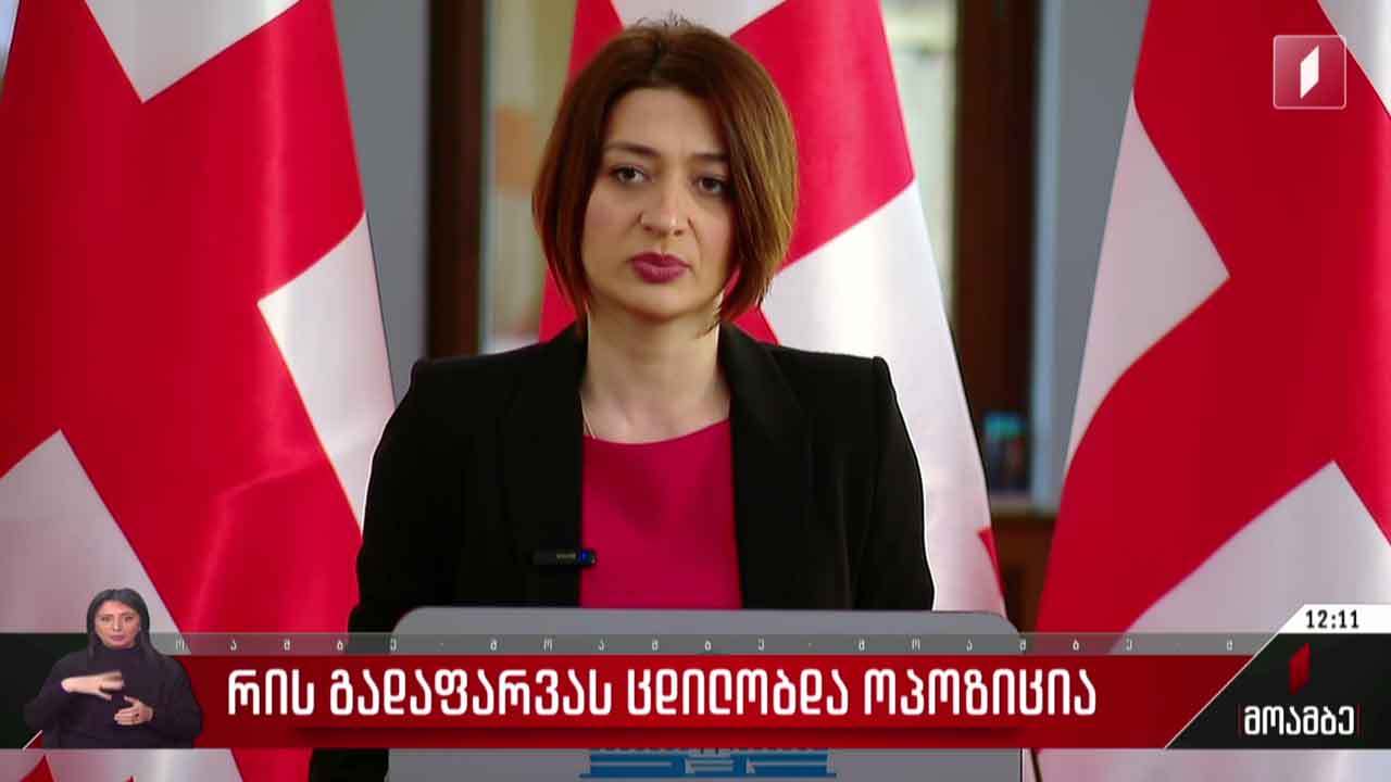 რის  გადაფარვას ცდილობდა ოპოზიცია