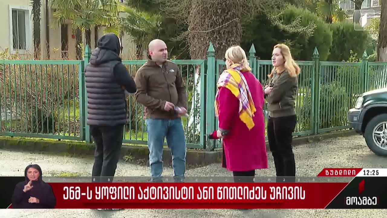 ენმ-ის ყოფილი აქტივისტი ანი წითლიძეს უჩივის