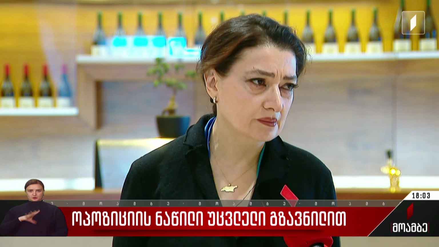 ოპოზიციის ნაწილი უცვლელი გზავნილით