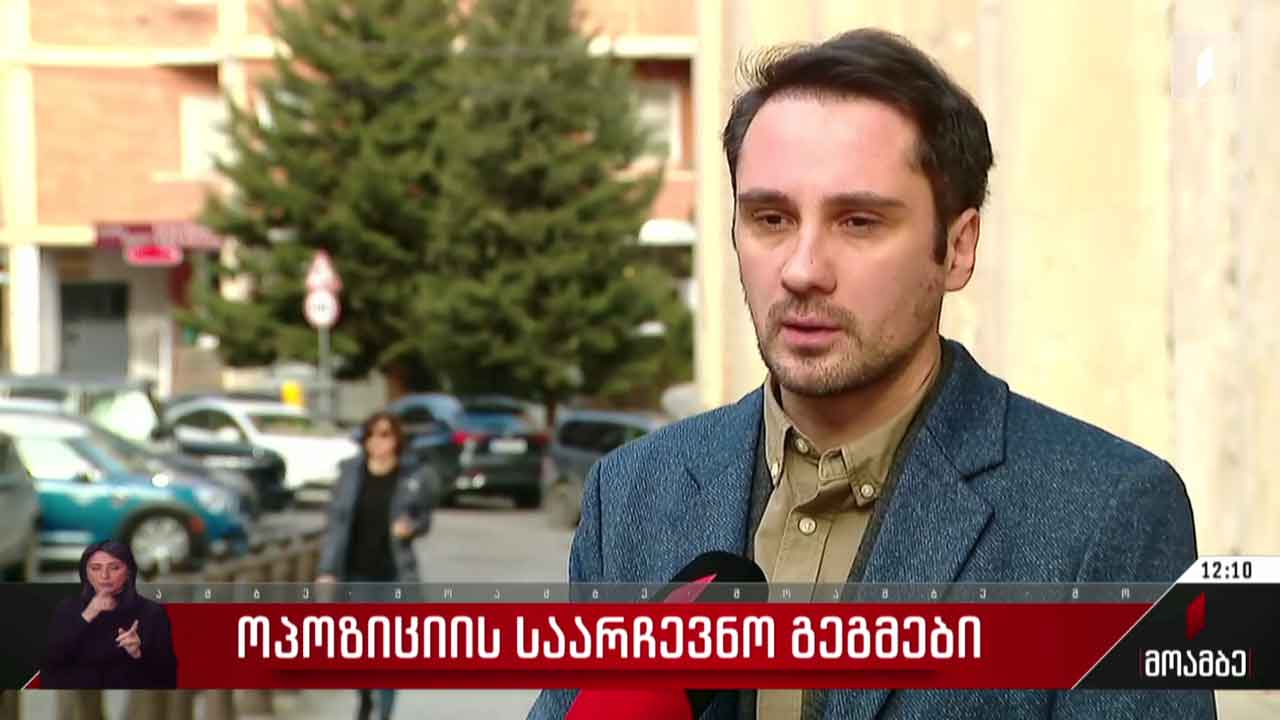 ოპოზიციური პარტიების გეგმები