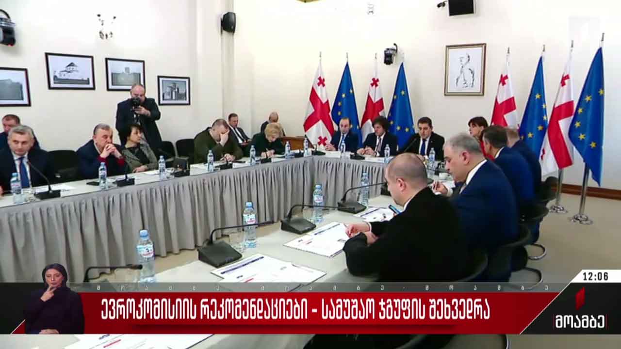 ევროკომისიის რეკომენდაციები - სამუშაო ჯგუფის შეხვედრა