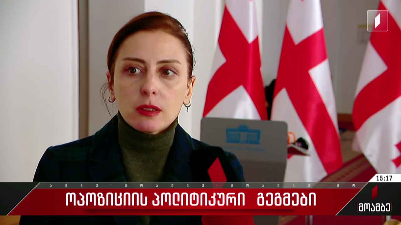ოპოზიციის პოლიტიკური გეგმები