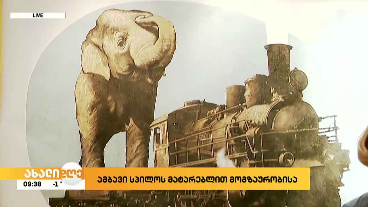 „ამბავი სპილოს მოგზაურობისა მატარებლით“ - გამოფენა გალერეა შარდენში