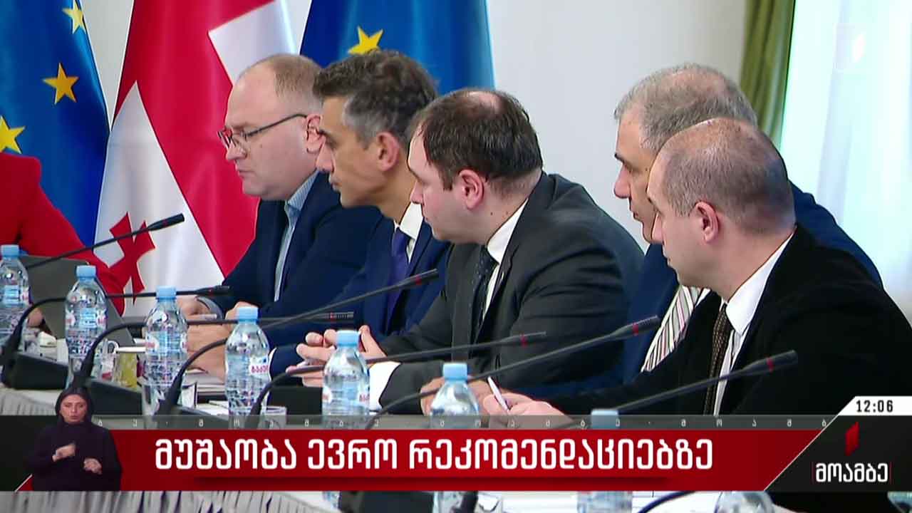 მუშაობა ევრორეკომენდაციებზე