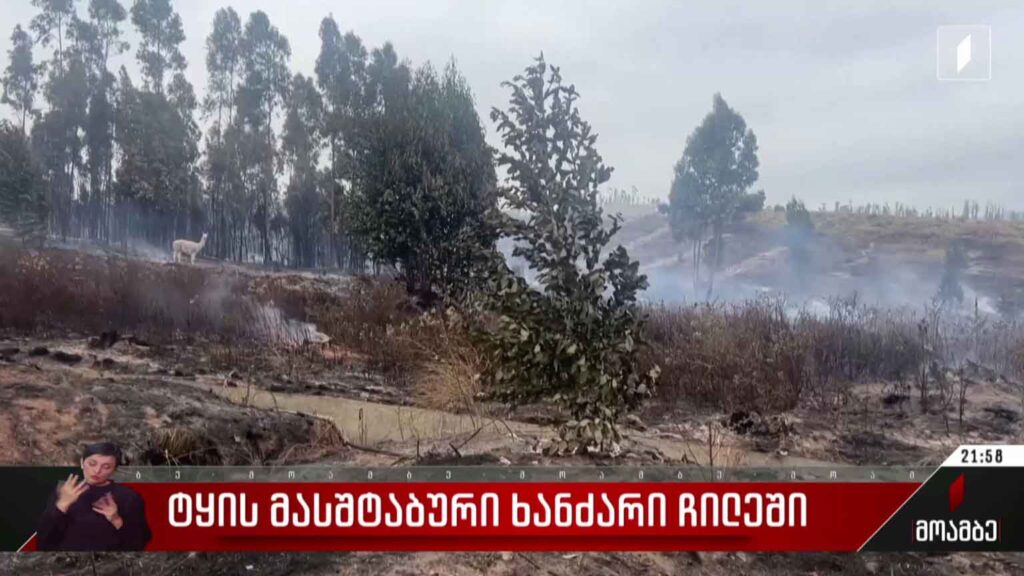 ტყის მასშტაბური ხანძარი ჩილეში