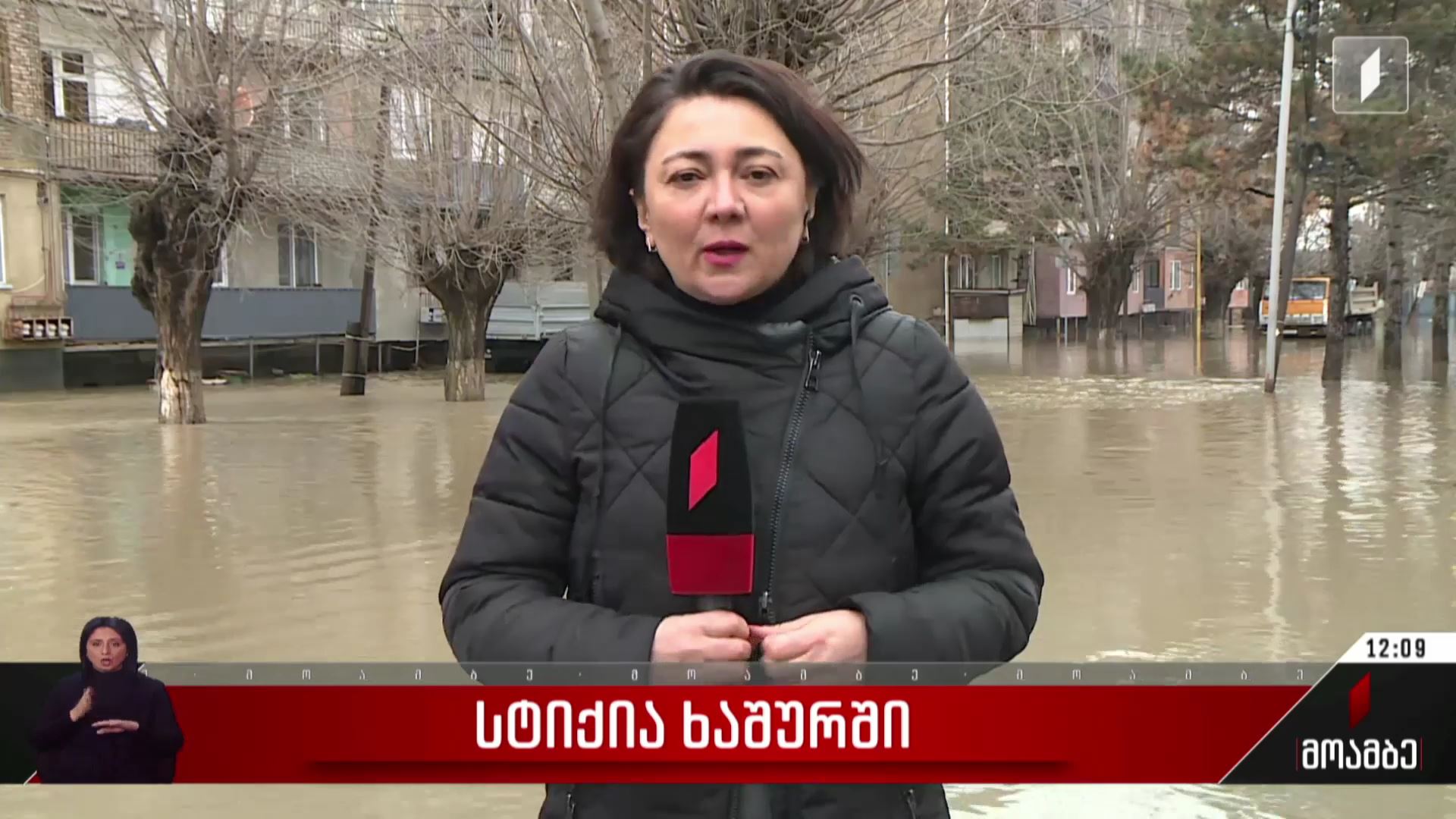 სტიქია ხაშურში