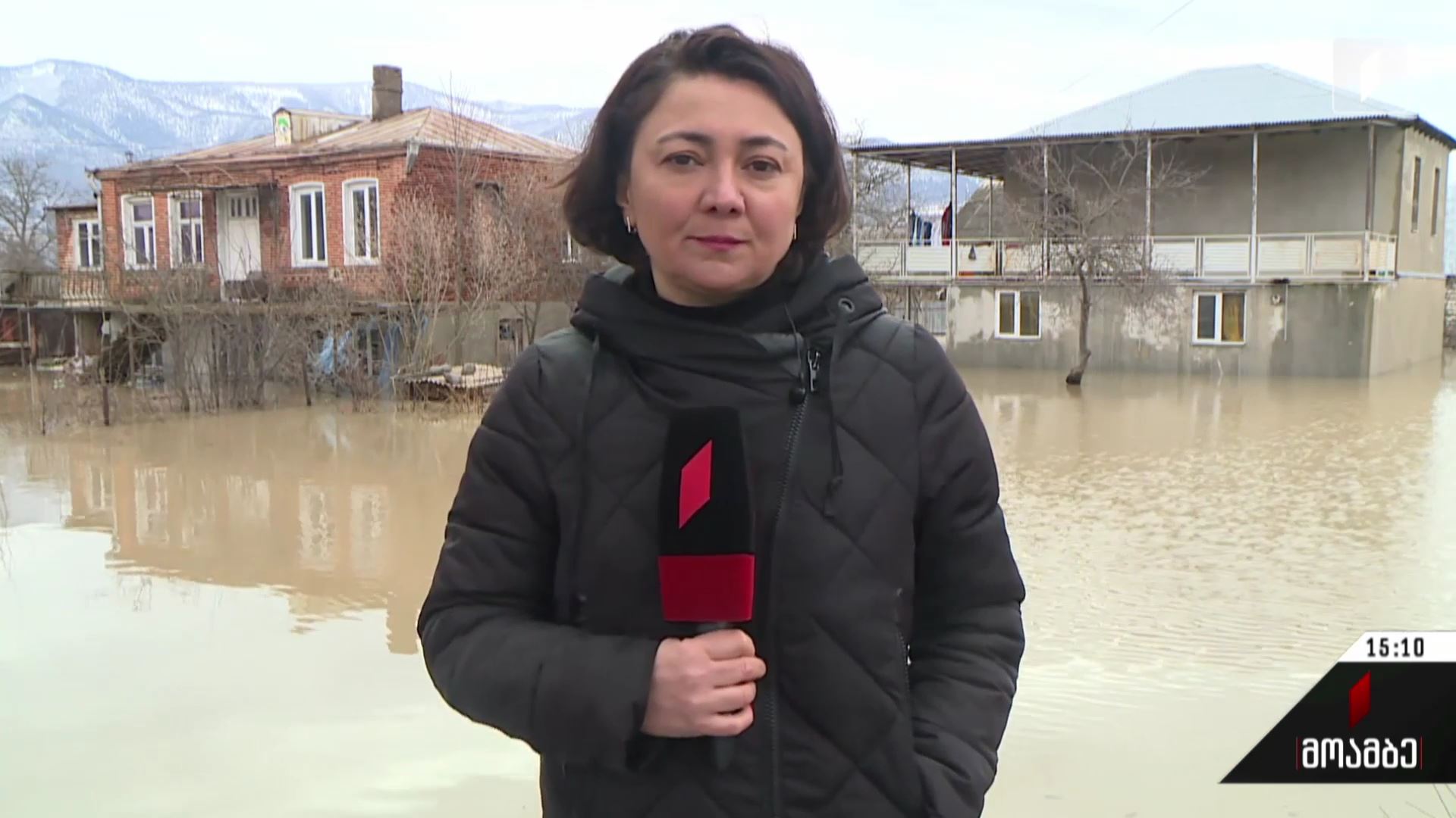 სტიქია ხაშურში