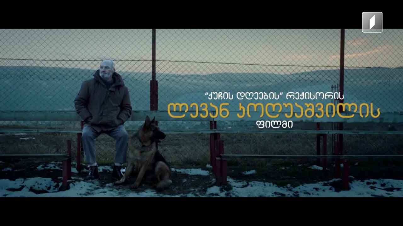 მსოფლიო ამბების მიმოხილვა