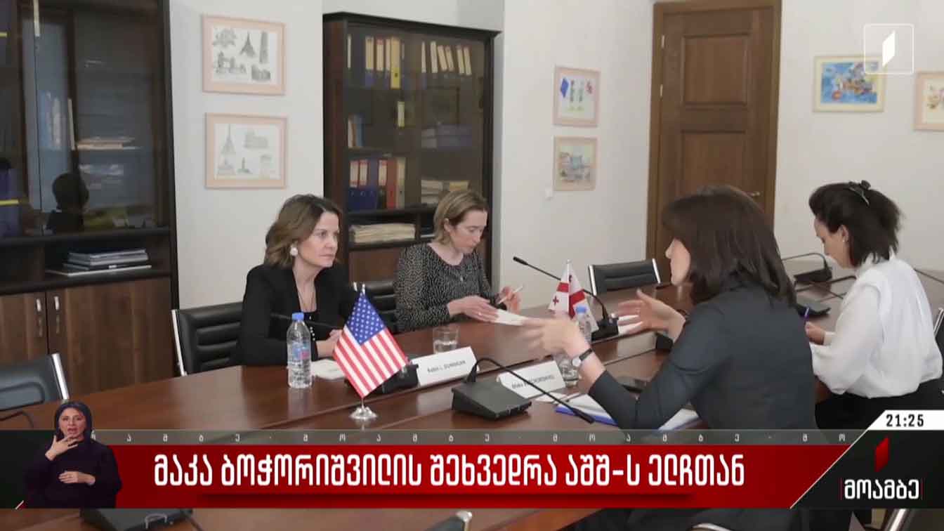 მაკა ბოჭორიშვილის შეხვედრა აშშ-ს ელჩთან