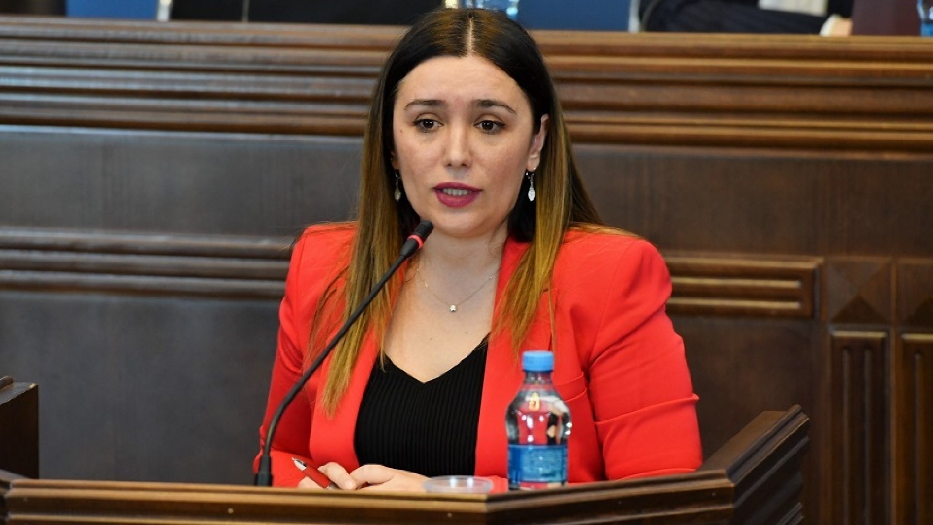 ნინო თანდილაშვილი - მეწყრის მონიტორინგის სადგურები უკვე 18 ლოკაციაზე გვაქვს, წელს კიდევ დამატებით 11 უბანზე ვგეგმავთ მონიტორინგის სისტემების განთავსებას