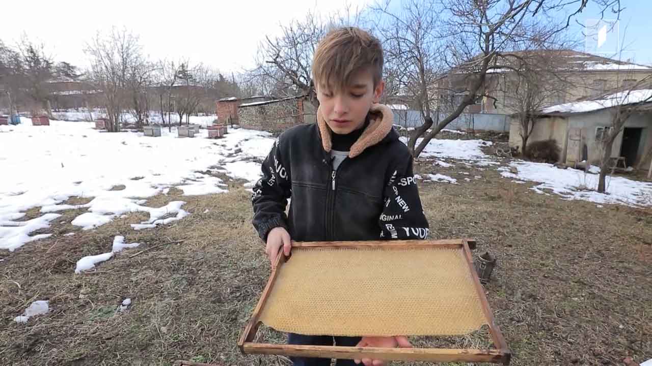 10 წლის მეფუტკრე დედოფლისწყაროდან