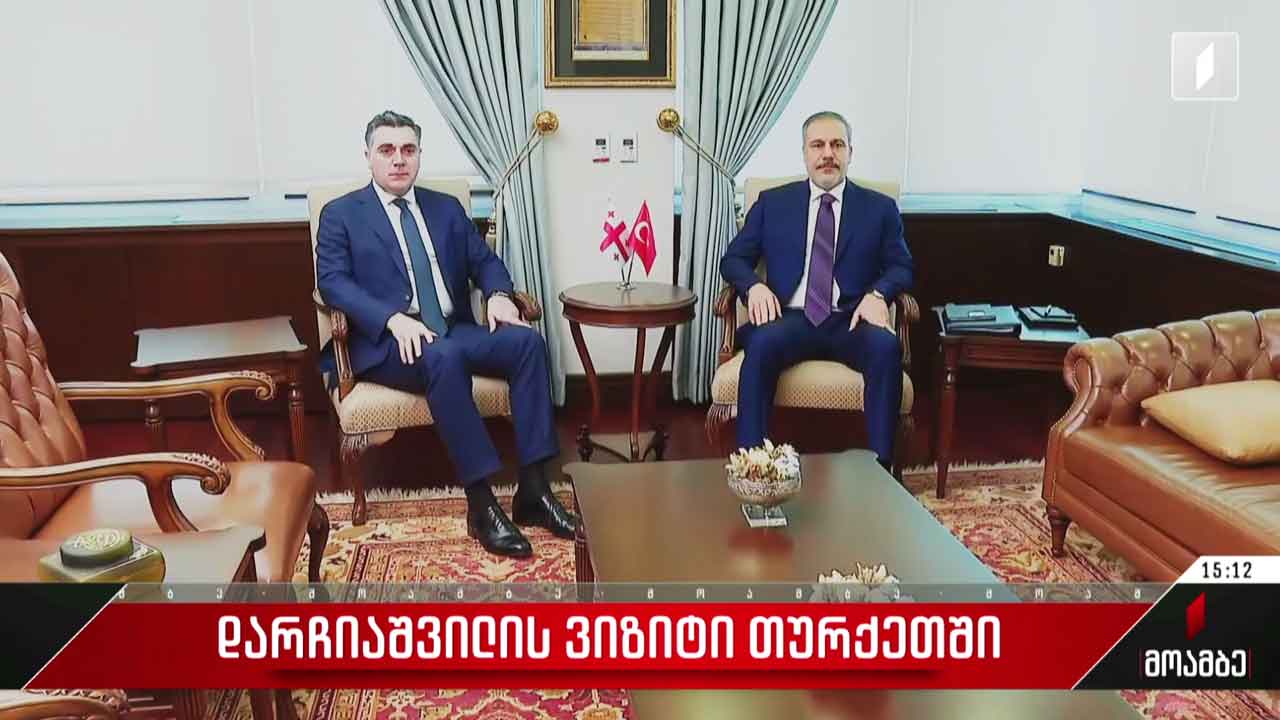 ილია დარჩიაშვილის ვიზიტი თურქეთში