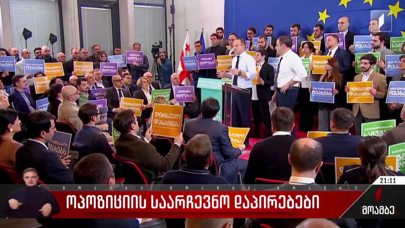 ოპოზიციის საარჩევნო დაპირებები