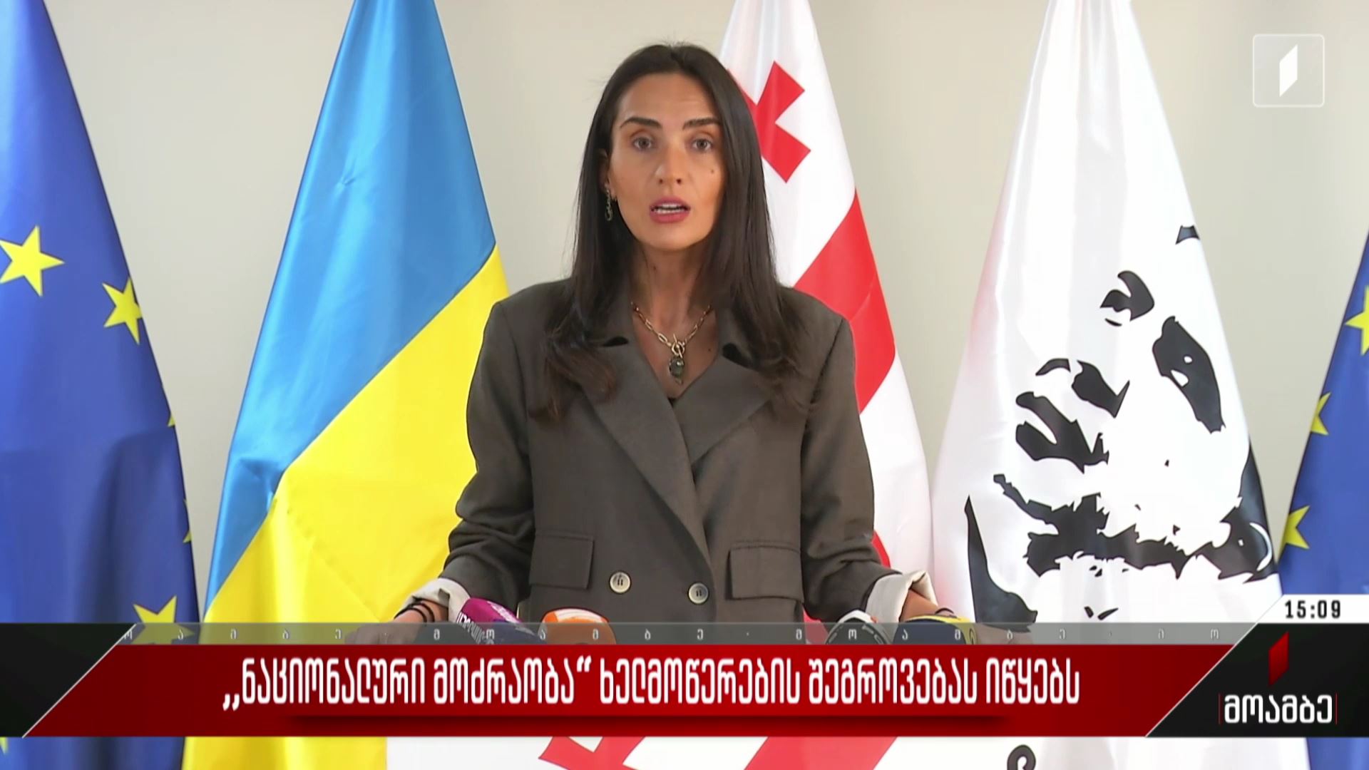 „ნაციონალური მოძრაობა“ ხელმოწერების შეგროვებას იწყებს