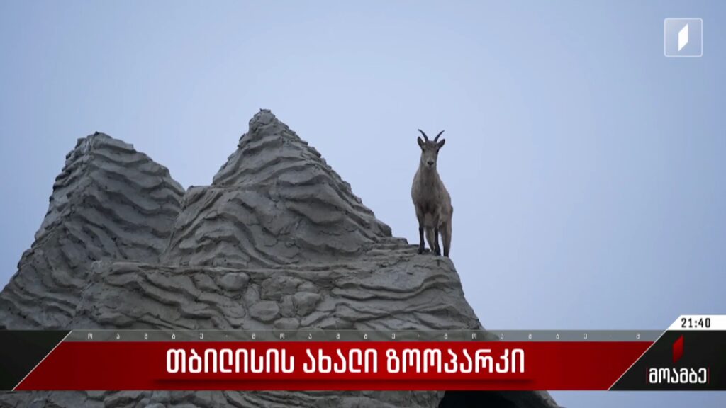 თბილისის ახალი ზოოპარკი