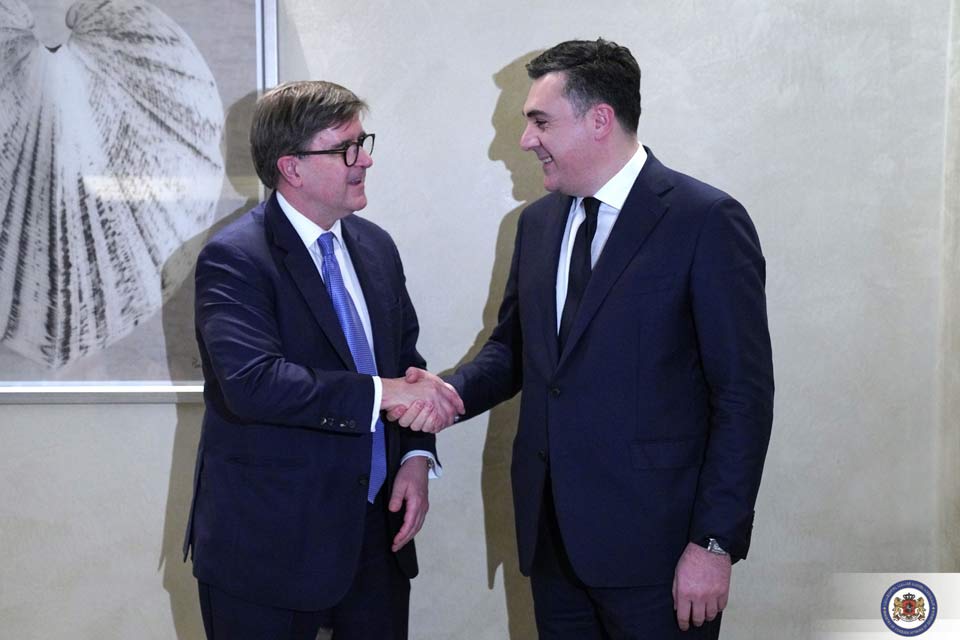 ილია დარჩიაშვილი ევროპისა და ევრაზიის საკითხებში აშშ-ის სახელმწიფო მდივნის თანაშემწეს შეხვდა