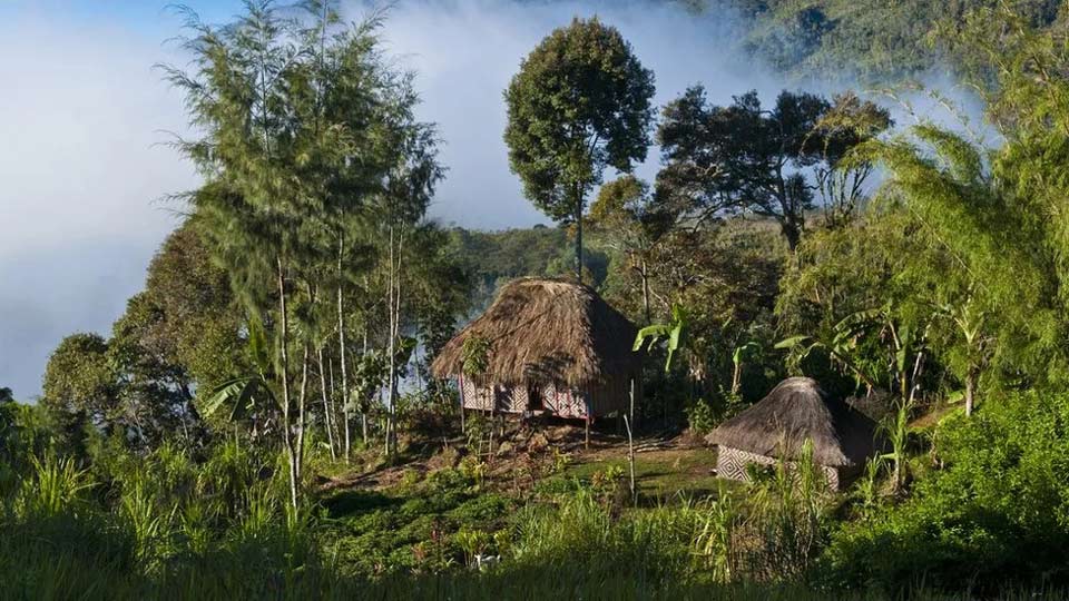 პაპუა-ახალ გვინეაში ტომებს შორის შეიარაღებული დაპირისპირების შედეგად, სულ მცირე, 64 ადამიანი დაიღუპა