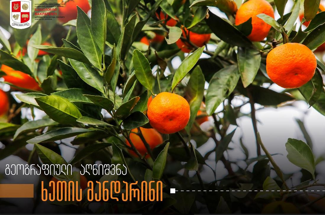 გეოგრაფიული აღნიშვნებისა და ადგილწარმოშობის დასახელებების საინფორმაციო კამპანიის ფარგლებში საქპატენტი „ხეთის მანდარინის“ შესახებ სტატიას აქვეყნებს